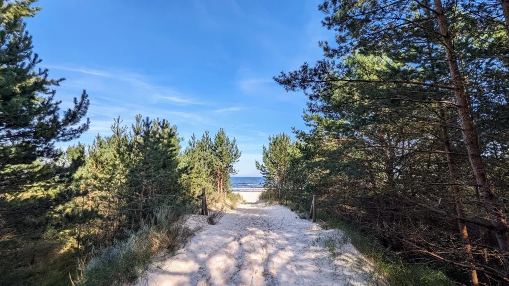 Sandiger Strandzugang zwischen Kiefern mit Blick auf die Ostsee bei Karlshagen
