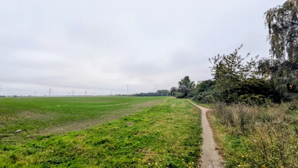 Feldweg am Acker mit Windrädern und Strommasten am Horizont im Süden von Karow