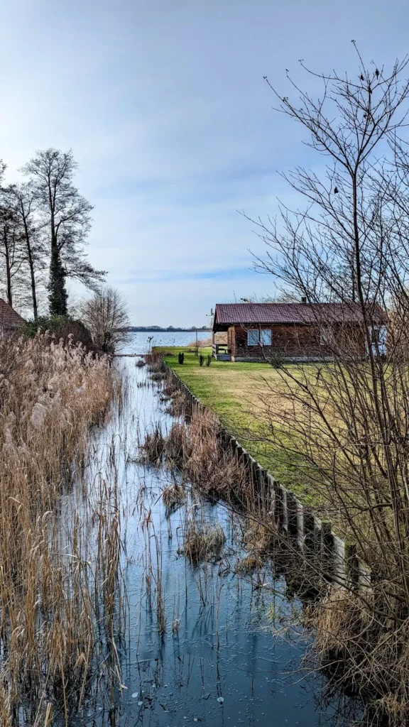 Wasserzugang mit Schilf am Kanal in Klein Venedig