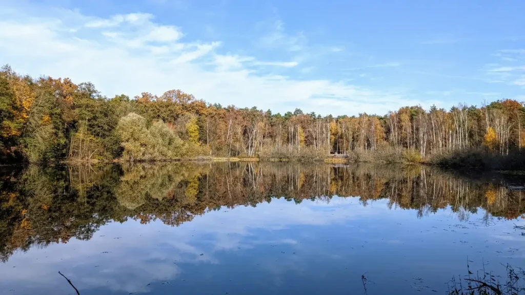 Teufelssee in den Müggelbergen in Köpenick, ein kleiner Toteissee mit Wald am Ufer im Herbst