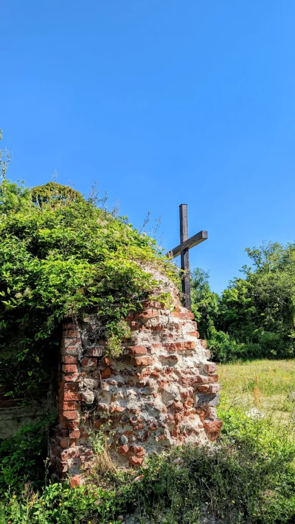 Mit Efeu bewachsener Mauerrest aus Backstein und Feldstein in der Küstriner Altstadt, daneben ein hohes Holzkreuz