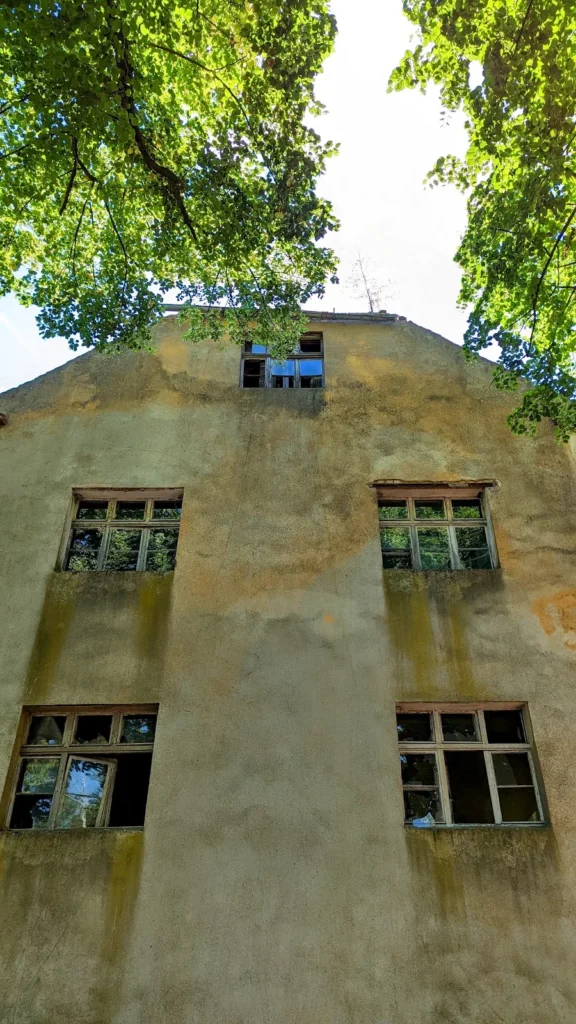 Gelbliche Fassade eines leerstehenden Kasernengebäudes auf der Oderinsel bei Küstrin-Kietz mit offenen Fenstern, darüber grünes Laub