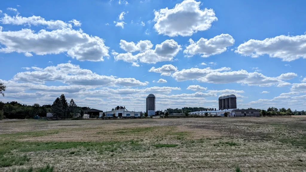 Abgeerntetes Feld im Oderbruch bei Gorgast, am Horizont flache Ställe und dunkle Hochsilos unter Quellwolken
