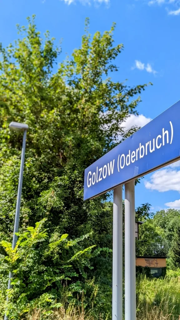 Blaues Stationsschild Golzow (Oderbruch) am Haltepunkt der RB 26 vor dichtem Grün