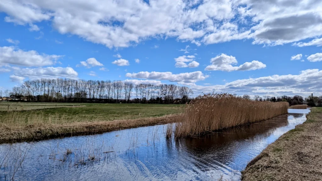 Wassergraben mit Schilf zwischen Wiesen im Kremmener Luch