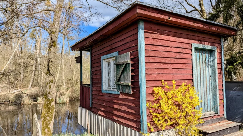 Rotes Bootshaus aus Holz mit blühender Forsythie am Wasser bei Kremmen