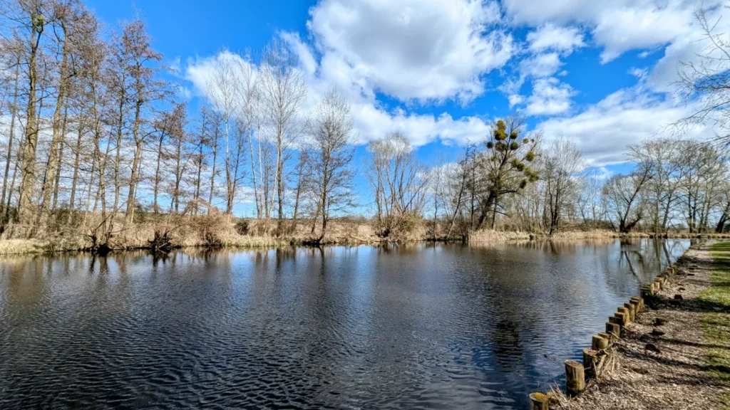 Breites Wasser des Ruppiner Kanals mit Holzpfählen am Ufer bei Kremmen