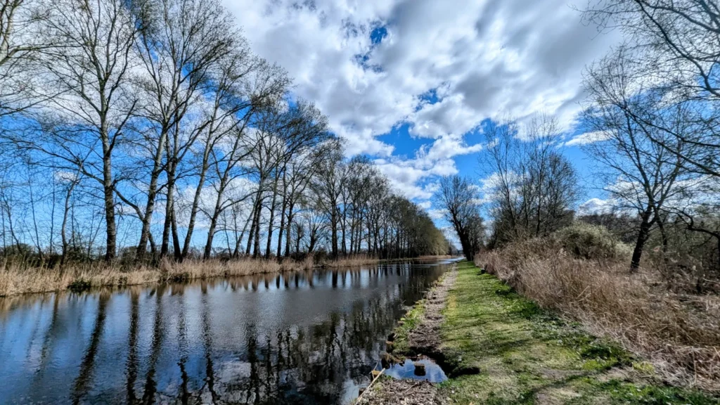 Uferweg am Ruppiner Kanal mit kahler Baumreihe, die sich im Wasser spiegelt