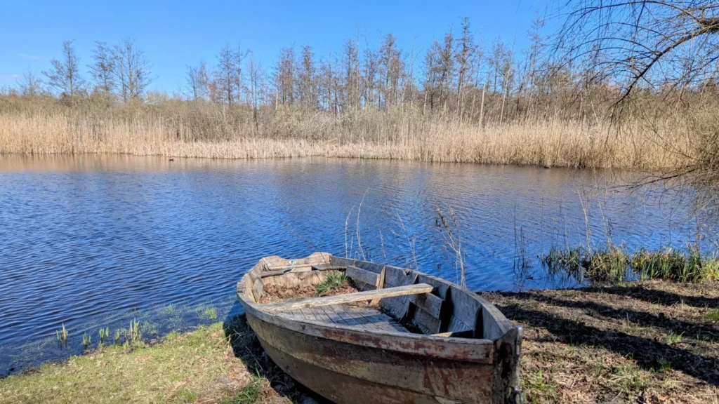 Alter Holzkahn am Ufer eines Teichs in Schwante