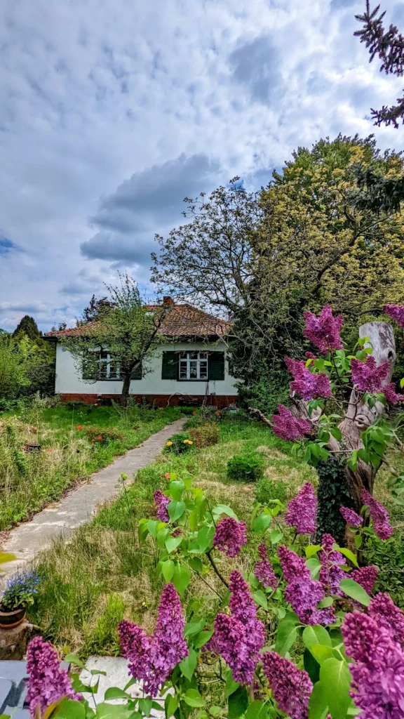 Einfamilienhaus mit blühendem Flieder im Garten, Plattenweg zum Haus, Lichtenrade