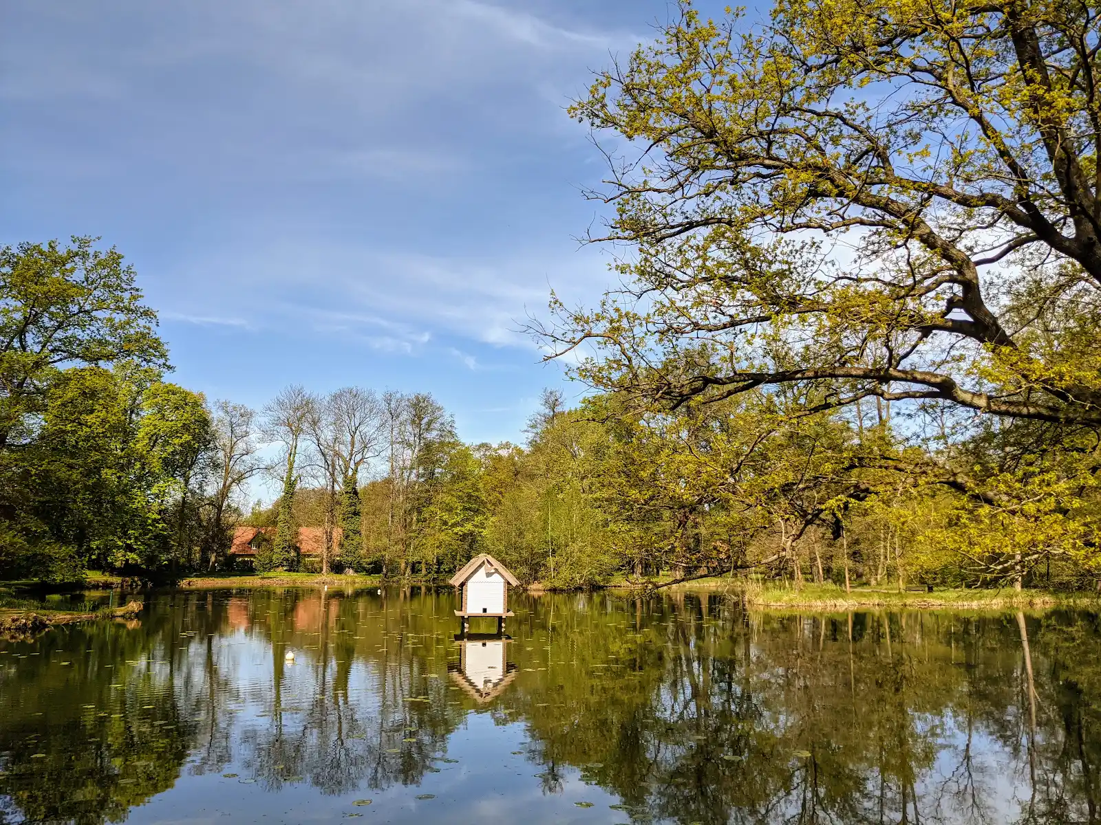 Teich im Schlosspark Lübbenau mit kleinem Haus am Ufer
