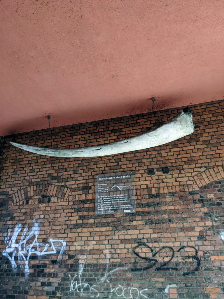 Großer Knochen im Torbogen des Torhauses in Lübbenau