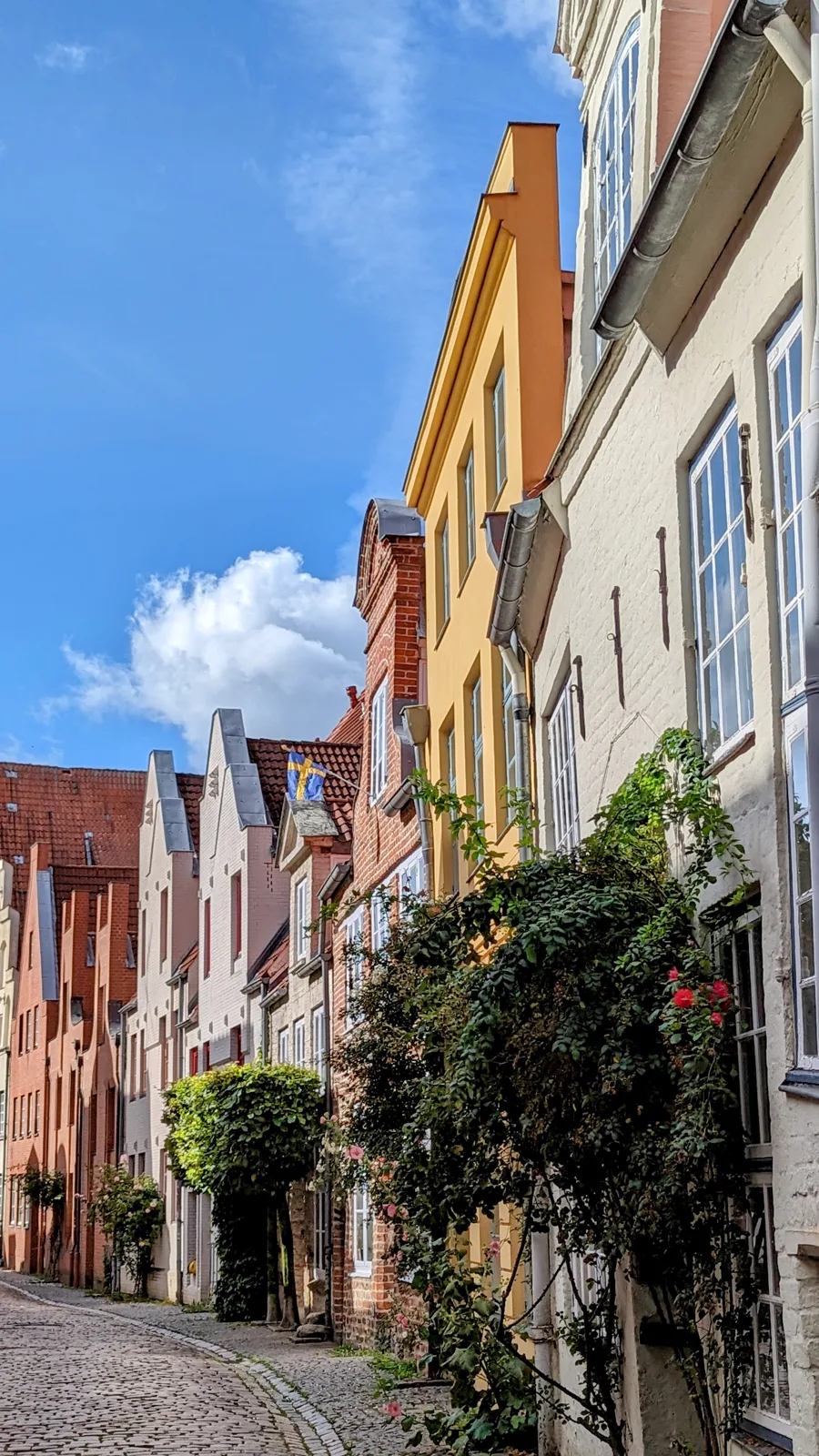 Kopfsteinpflastergasse mit schmalen Giebelhäusern und Rosen in der nördlichen Lübecker Altstadt