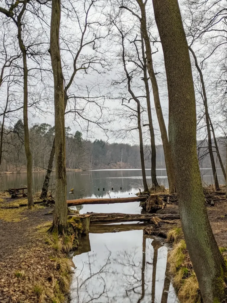 Großer Tornowsee bei Buckow