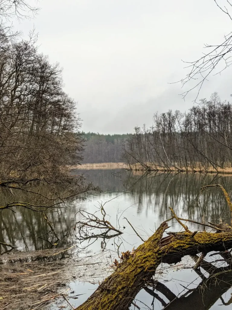 See bei Drei Eichen in der Märkischen Schweiz