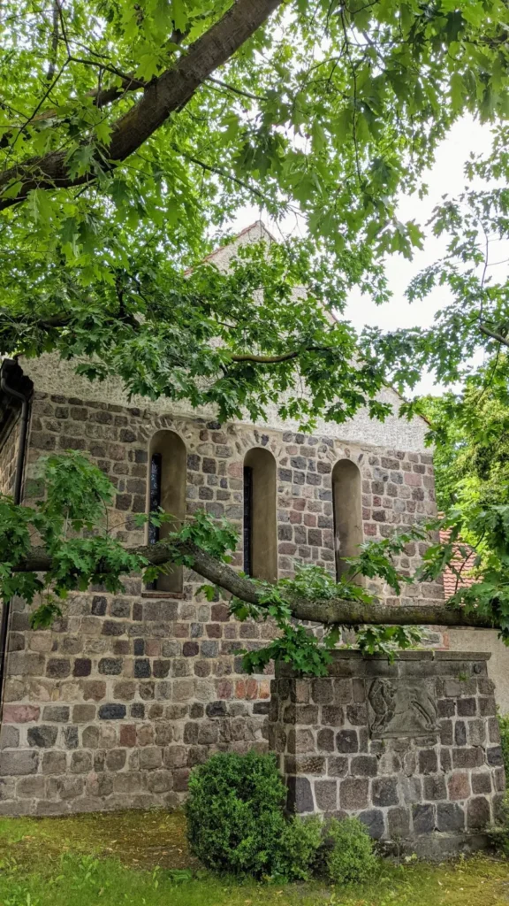 Feldsteinmauer mit Rundbogenfenstern der Alten Pfarrkirche an der Hönower Straße in Mahlsdorf, von Ästen überwachsen