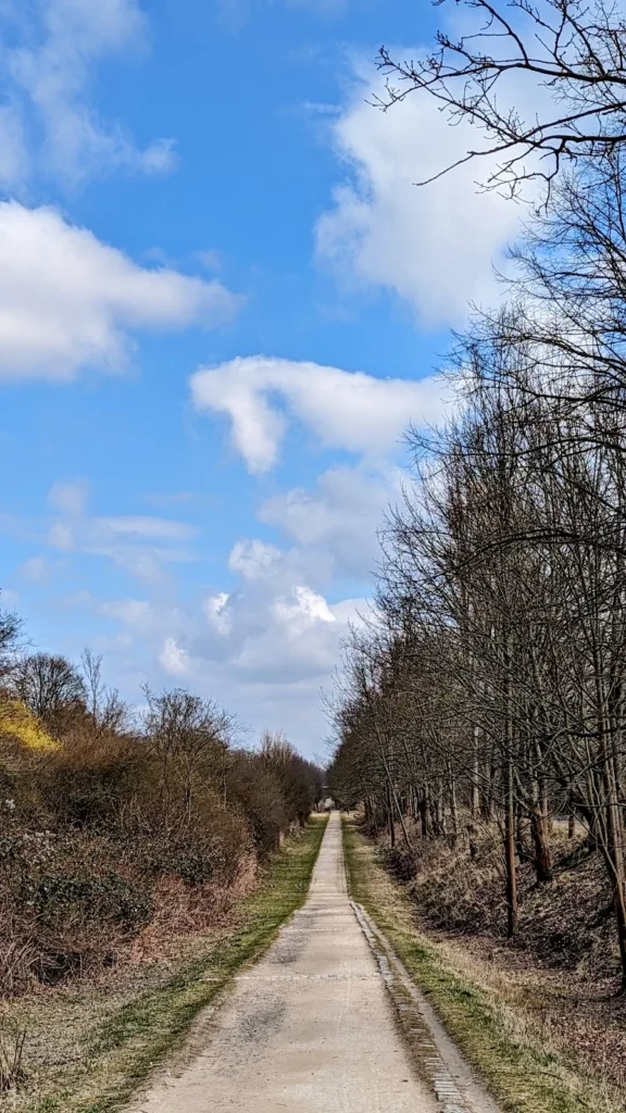 Schmaler Betonweg zwischen Gebüsch und einer Baumreihe im Süden von Marienfelde