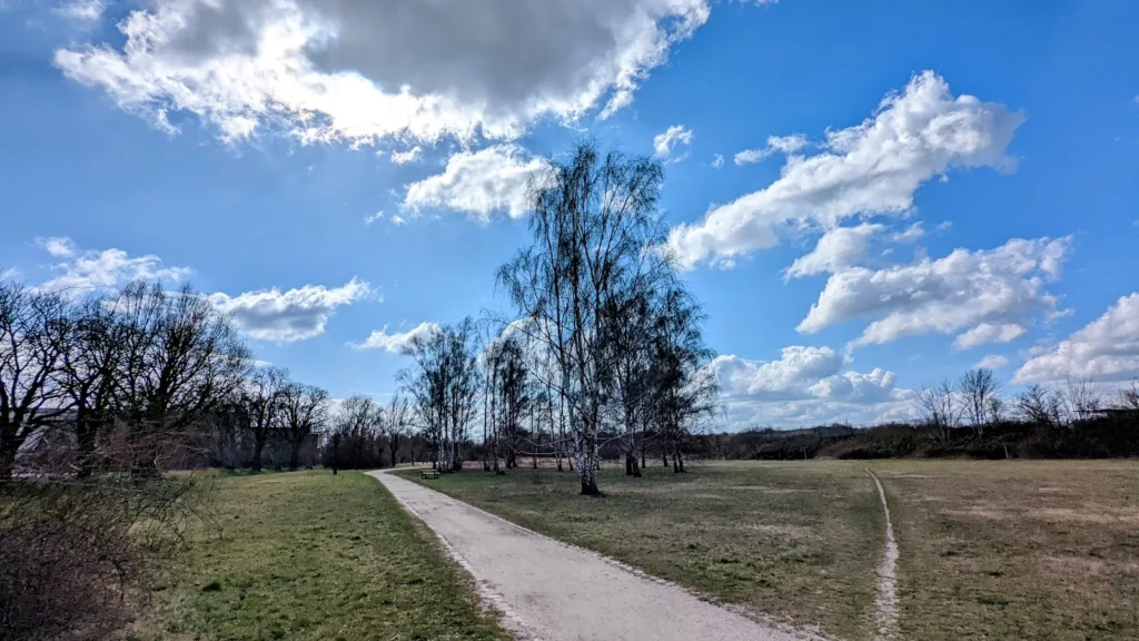 Wiesenweg mit Birken am Freizeitpark Marienfelde auf der früheren Deponie