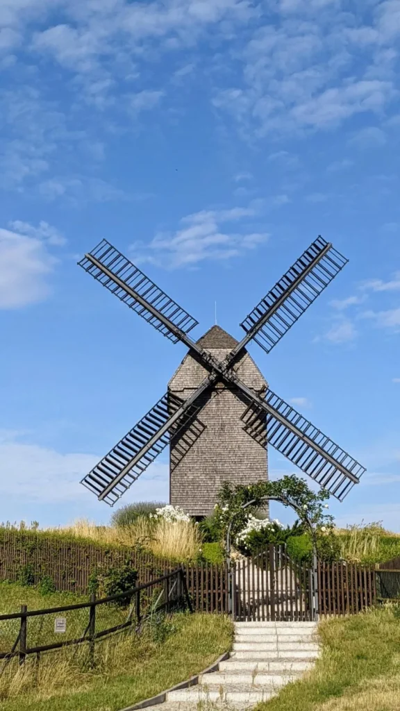 Bockwindmühle auf einem Hügel mit Treppe am Dorfrand von Alt-Marzahn