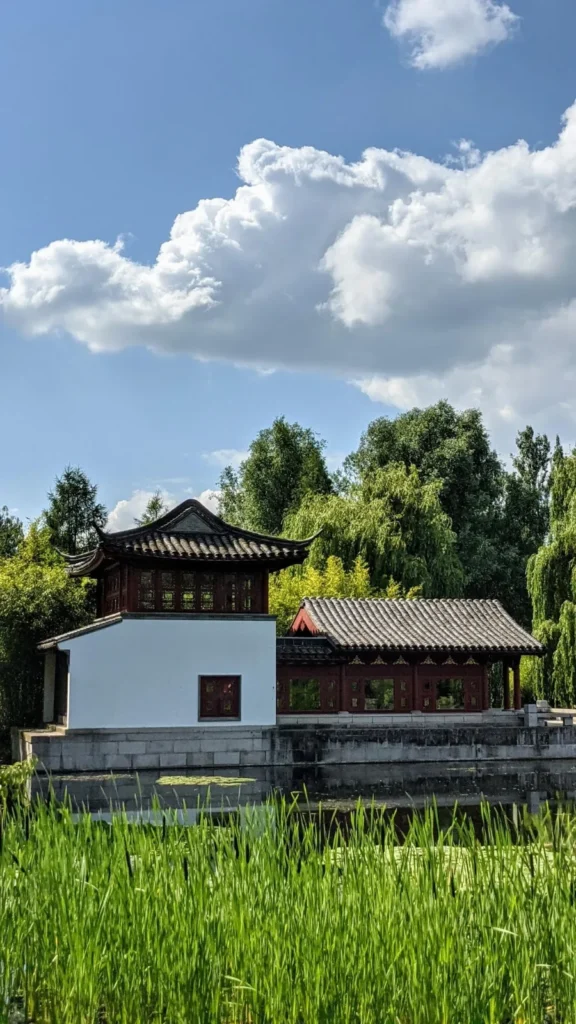 Pavillon mit geschwungenem Dach hinter Wasserfläche und Schilf im Chinesischen Garten der Gärten der Welt in Marzahn