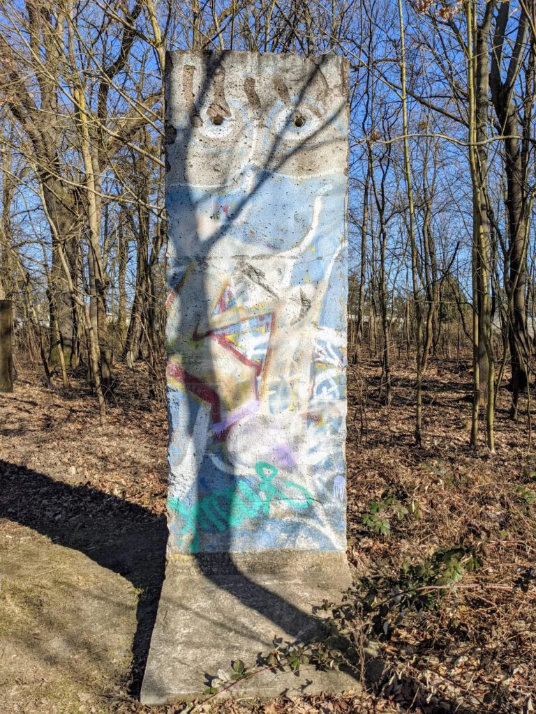 Zwei große gemalte blaue Augen auf den Rollläden einer grauen Giebelwand, davor kahles Gestrüpp