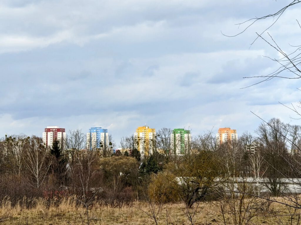 Fünf Wohnhochhäuser in Rot, Blau, Gelb, Grün und Orange ragen hinter kahlem Gehölz auf