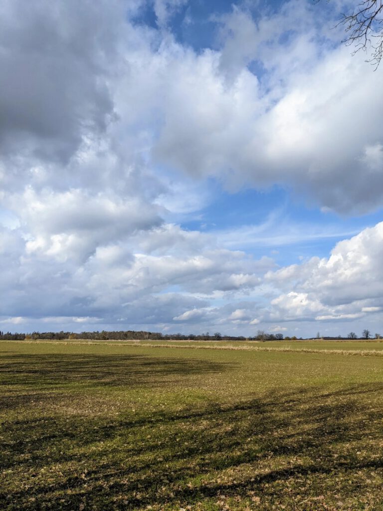 Flaches grünes Feld bis zum Horizont unter einem hohen Wolkenhimmel