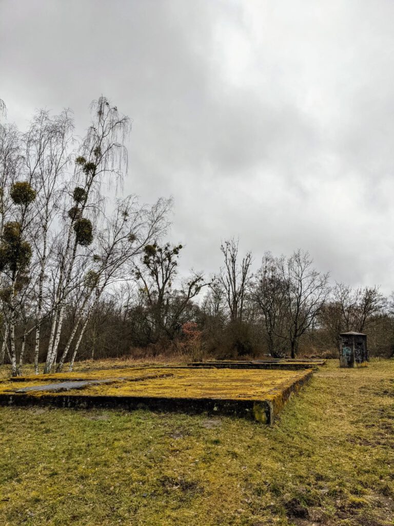 Bemooste Betonfundamente auf einer Wiese, links Birken mit Misteln, rechts ein kleiner Betonbunker