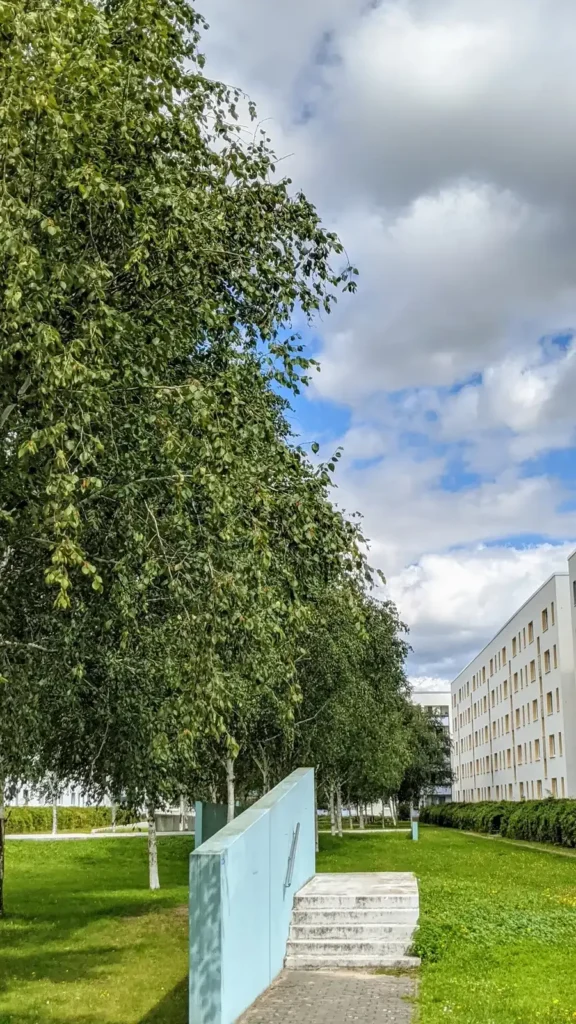 Weg mit Baumreihe am Nordrand von Neu-Hohenschönhausen, dahinter ein Plattenbau und ein Schild