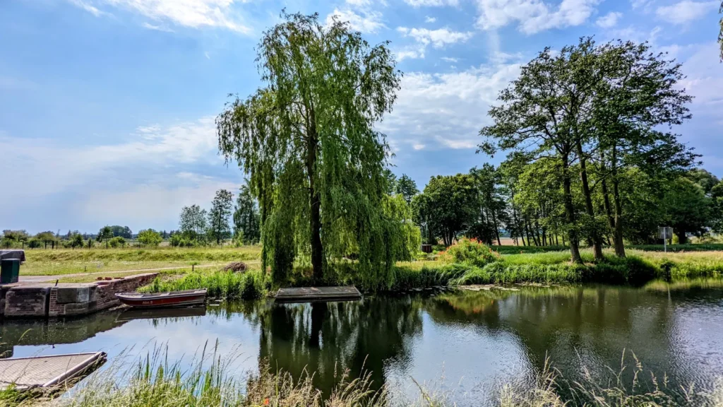 Wasserfläche mit Bootsstegen und Trauerweide an der Lieper Schleuse