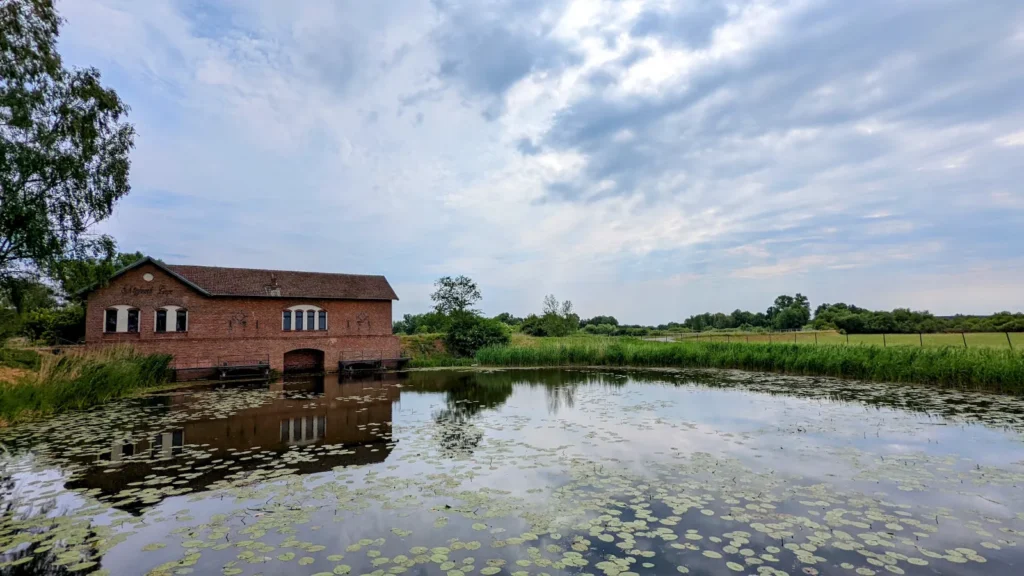 Schöpfwerk Liepe aus der Ferne, davor die Alte Finow mit Seerosenblättern und Wiesen