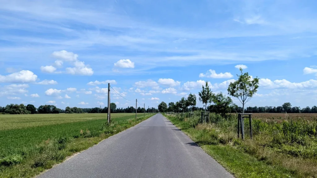 Schmale Asphaltstraße mit jungen Bäumen zwischen Wiesen, darüber ein weiter Himmel mit Schönwetterwolken