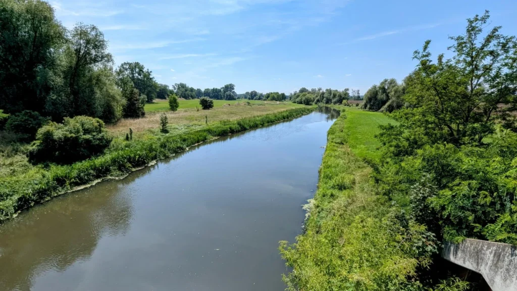 Blick von einer Brücke auf die Wriezener Alte Oder, einen ruhigen Wasserlauf zwischen grünen Böschungen und Bäumen