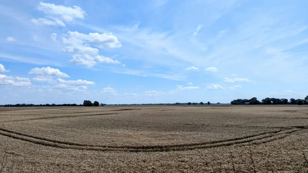 Abgeerntetes, braunes Feld mit Fahrspuren unter weitem Himmel, am Horizont einzelne Baumgruppen
