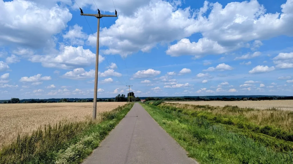 Schmale Straße zwischen Getreidefeld und Wiese, daneben eine Reihe hölzerner Strommasten