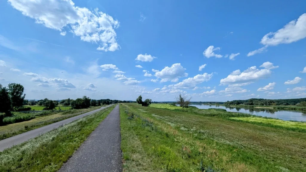 Asphaltierter Weg auf dem Oderdeich, rechts das Deichvorland und die Oder, links Wiesen