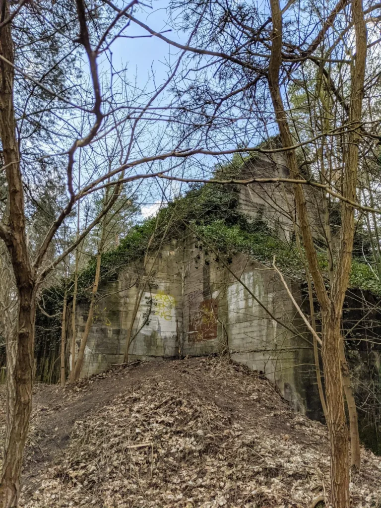 Betonbunker mit Erdhügel im Wald bei Friedrichsthal
