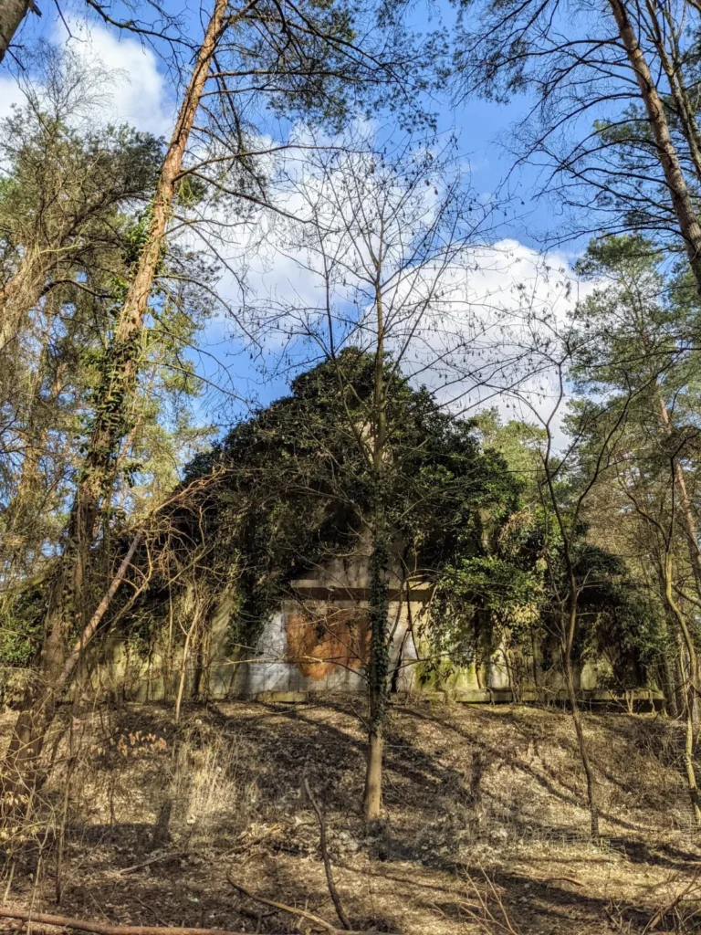 Überwachsener Betonbunker im Wald bei Friedrichsthal