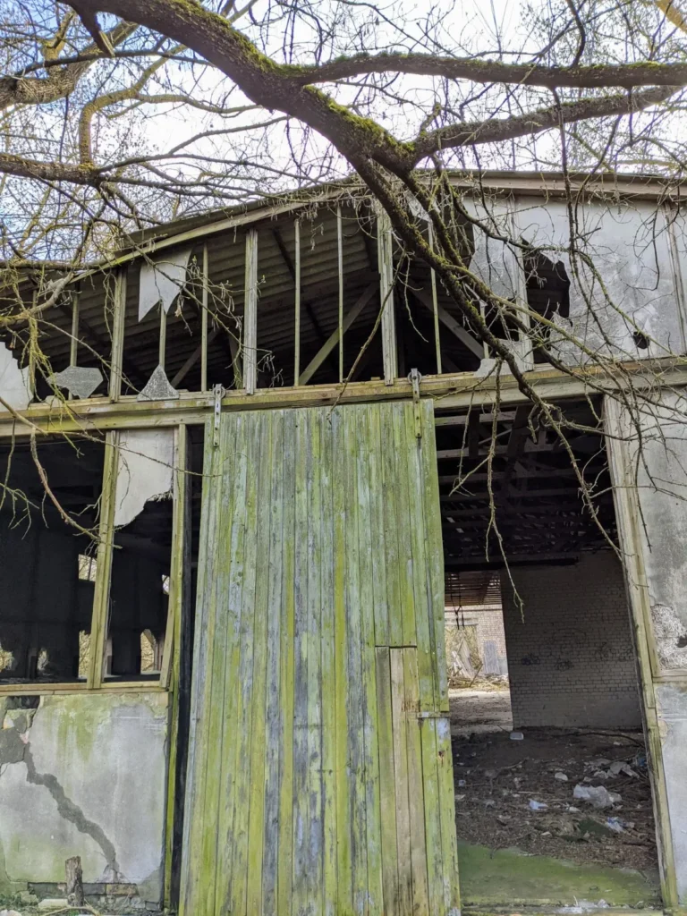 Verfallener Holzbau der früheren Nutriafarm am Oranienburger Kanal in Sachsenhausen