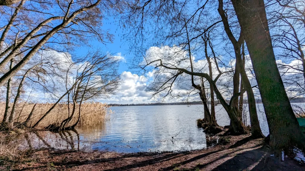 Blick durch Bäume auf den Pätzer Vordersee