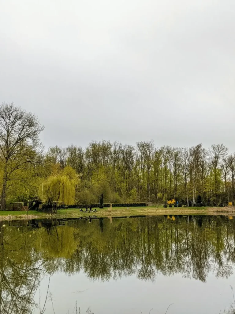 Teich mit Spiegelung der Bäume in Bernau