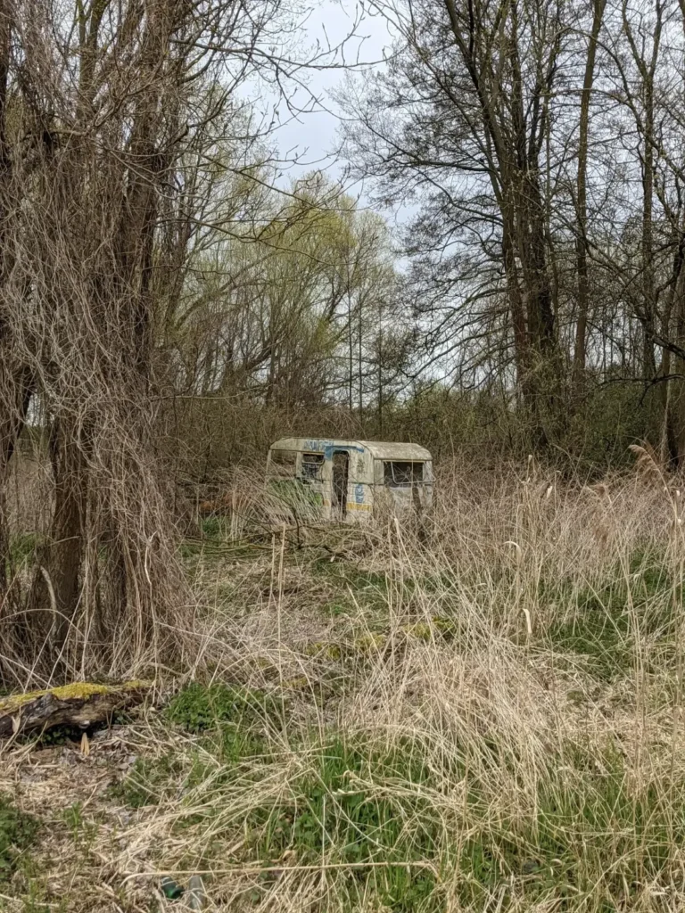 Verwitterter Wohnwagen zwischen kahlen Büschen und hohem Gras in Bernau