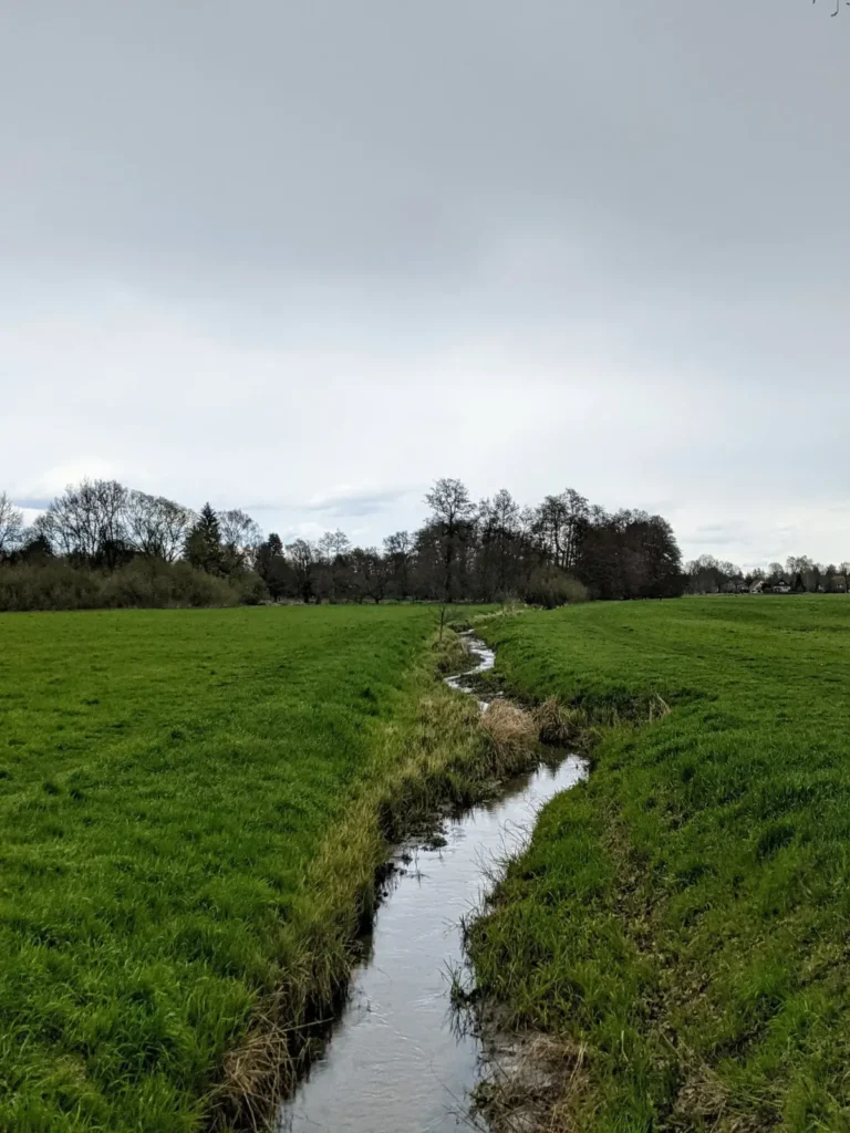 Die Panke zwischen Wiesen am Ilse-Krause-Steg in Buch