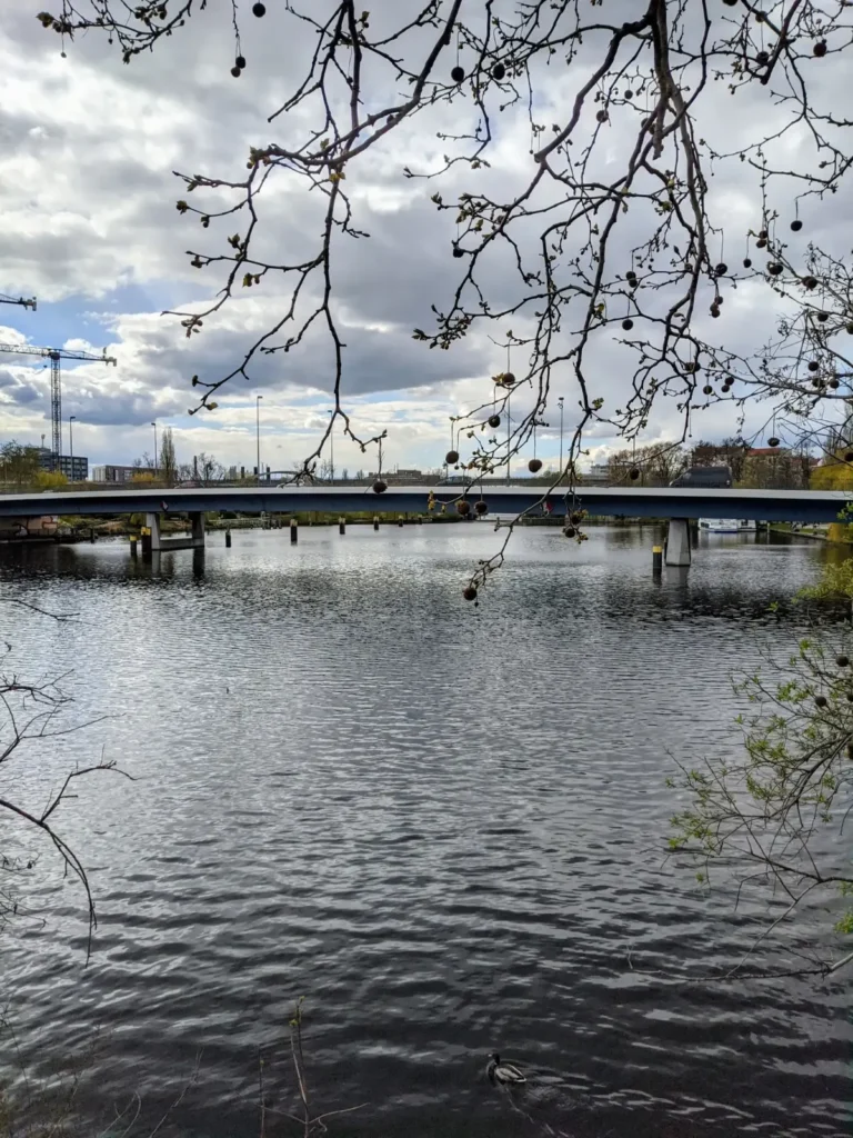Wasserfläche am Nordhafen in Mitte mit einer Brücke im Hintergrund
