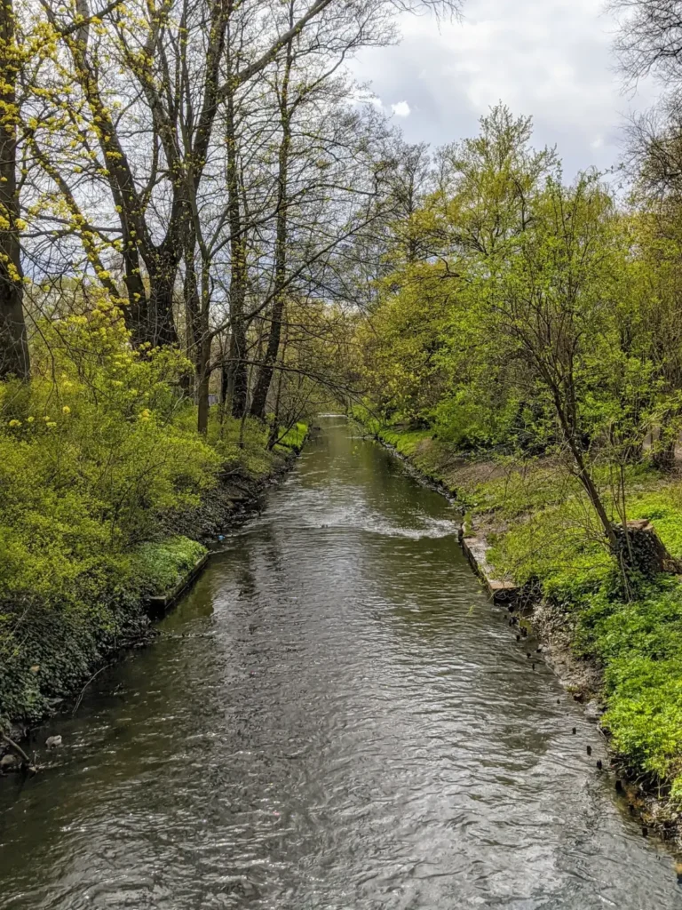 Die Panke zwischen Bäumen im Bürgerpark Pankow