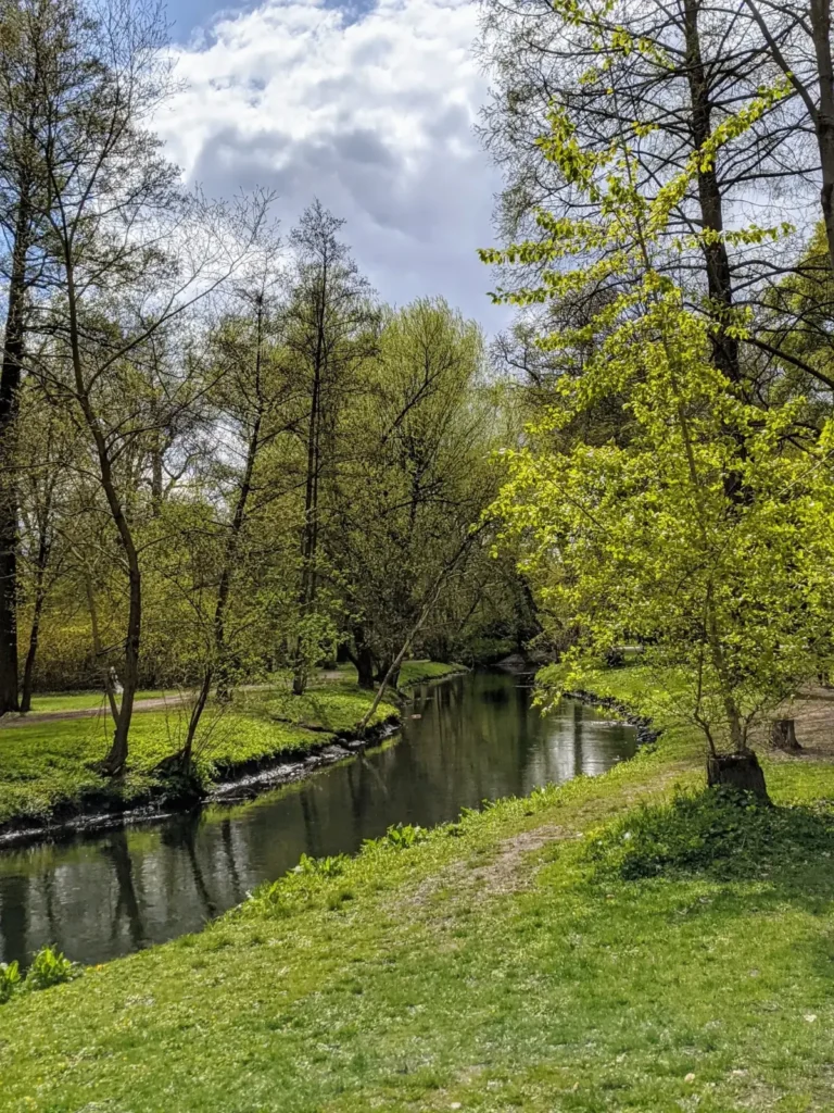 Die Panke fließt im Schlosspark Schönhausen in Pankow zwischen Wiesenufern und Bäumen