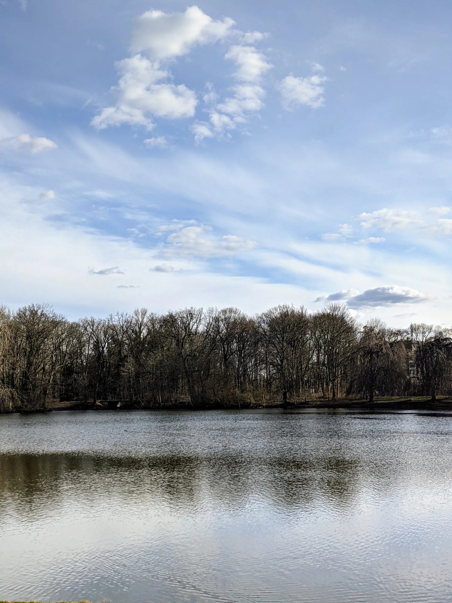 Bewegtes Wasser mit kahlen Bäumen am Ufer und Wolkenhimmel