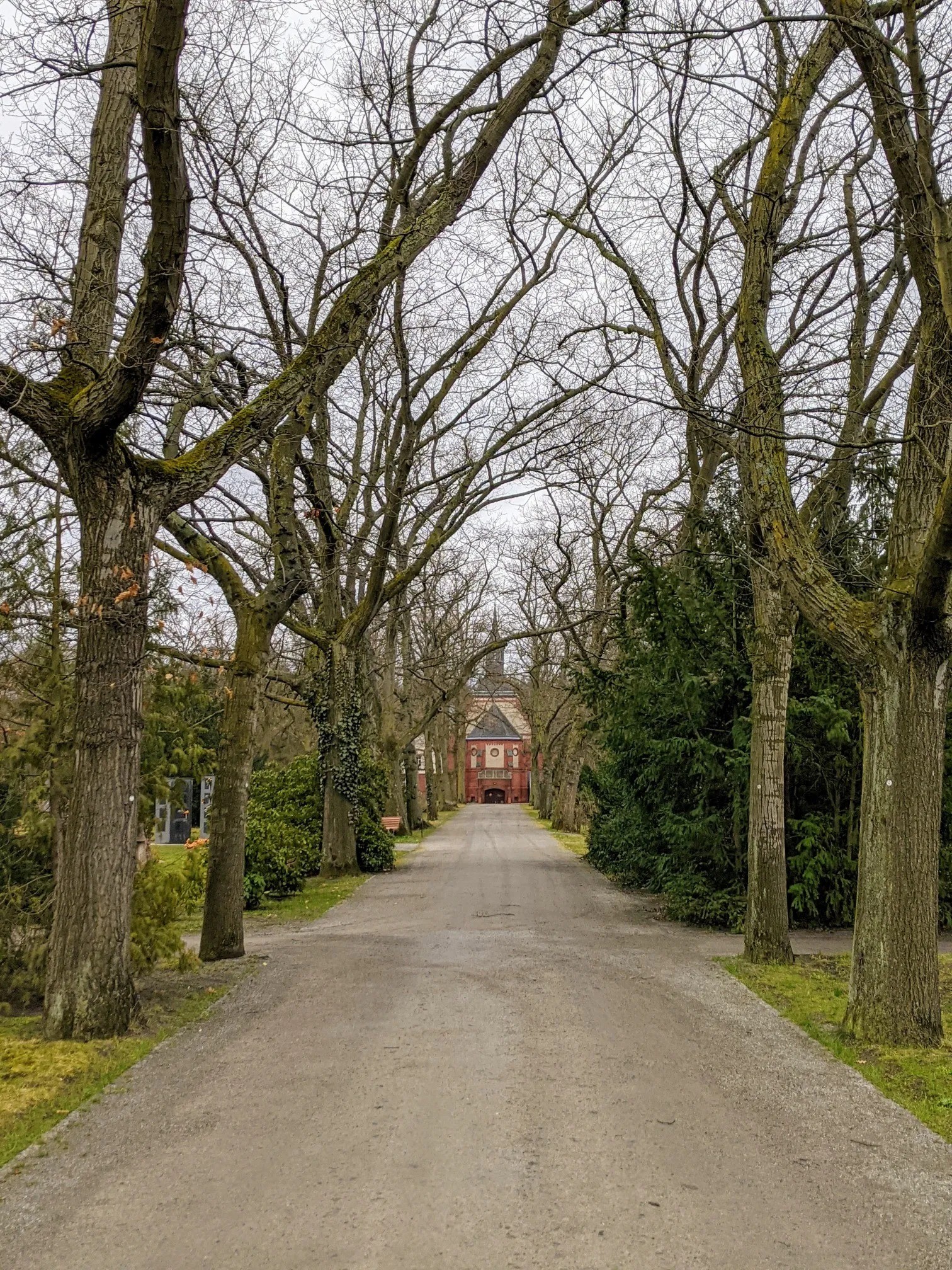 Baumallee mit Kiesweg, am Ende ein rotes Backsteingebäude