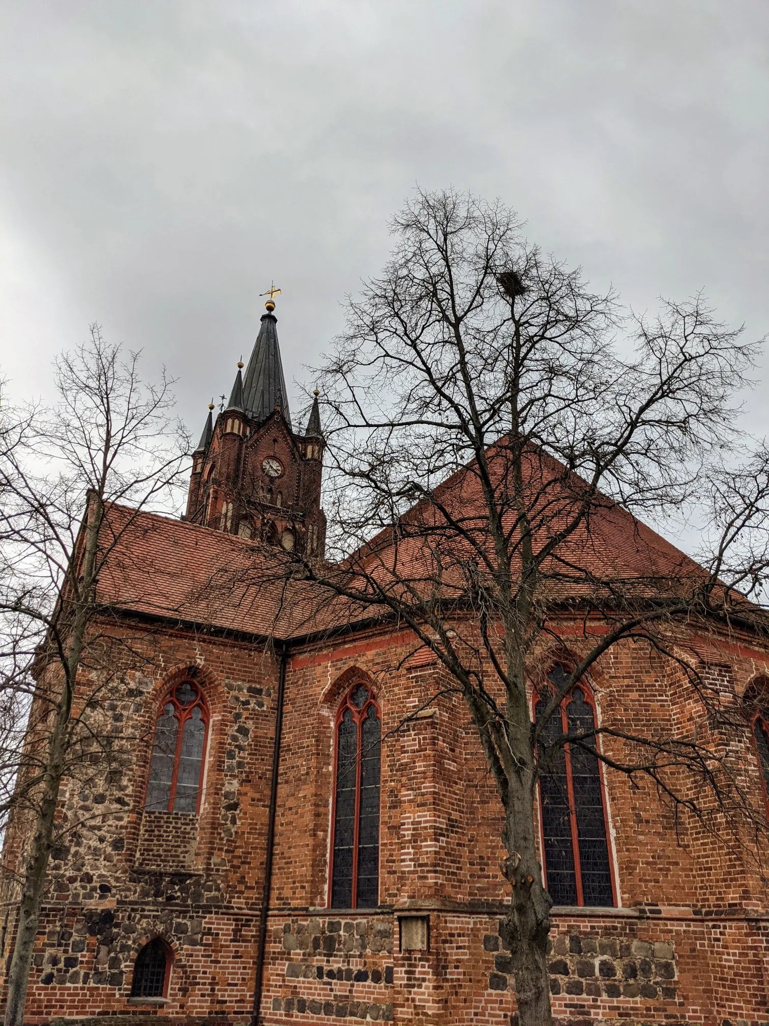 Chor der Backsteinkirche mit Turmspitze und einem Nest in der Baumkrone