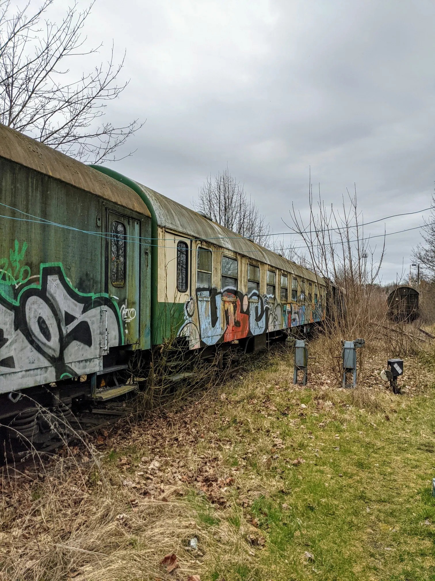 Bunt besprühter Zug auf einem Gleis